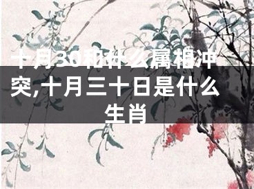 十月30和什么属相冲突,十月三十日是什么生肖