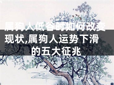 属狗人低谷时如何改变现状,属狗人运势下滑的五大征兆