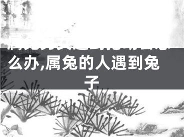 属兔男女遇到抢劫会怎么办,属兔的人遇到兔子