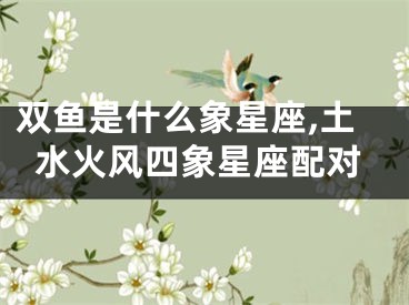 双鱼是什么象星座,土水火风四象星座配对