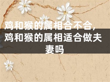 鸡和猴的属相合不合,鸡和猴的属相适合做夫妻吗