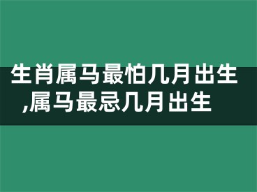 生肖属马最怕几月出生,属马最忌几月出生