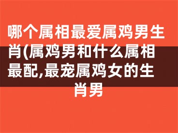 哪个属相最爱属鸡男生肖(属鸡男和什么属相最配,最宠属鸡女的生肖男