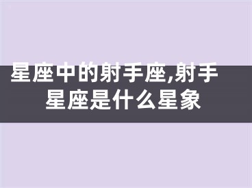 星座中的射手座,射手星座是什么星象