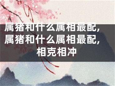属猪和什么属相最配,属猪和什么属相最配,相克相冲
