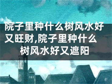 院子里种什么树风水好又旺财,院子里种什么树风水好又遮阳