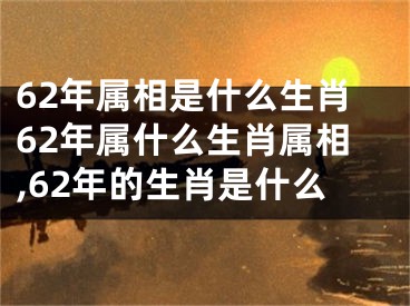 62年属相是什么生肖62年属什么生肖属相,62年的生肖是什么