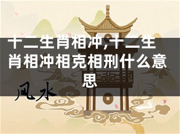 十二生肖相冲,十二生肖相冲相克相刑什么意思