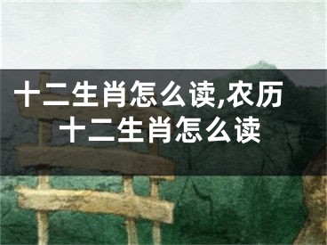 十二生肖怎么读,农历十二生肖怎么读