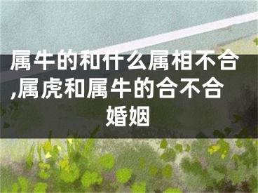 属牛的和什么属相不合,属虎和属牛的合不合婚姻