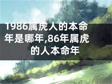 1986属虎人的本命年是哪年,86年属虎的人本命年