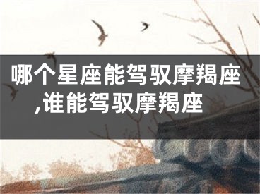 哪个星座能驾驭摩羯座,谁能驾驭摩羯座