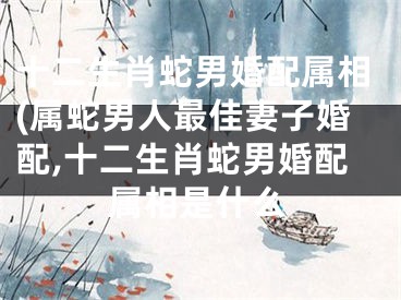 十二生肖蛇男婚配属相(属蛇男人最佳妻子婚配,十二生肖蛇男婚配属相是什么