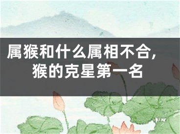 属猴和什么属相不合,猴的克星第一名