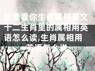 我要看你生肖属相英文十二生肖里的属相用英语怎么读,生肖属相用英语怎么说