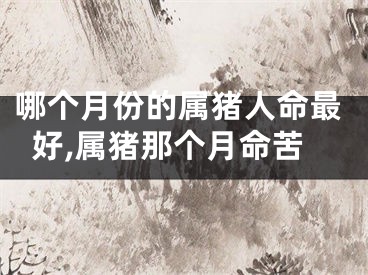 哪个月份的属猪人命最好,属猪那个月命苦