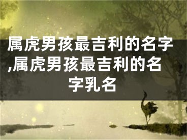 属虎男孩最吉利的名字,属虎男孩最吉利的名字乳名
