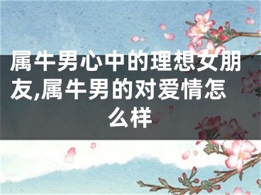 属牛男心中的理想女朋友,属牛男的对爱情怎么样
