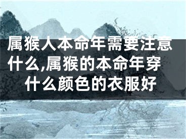 属猴人本命年需要注意什么,属猴的本命年穿什么颜色的衣服好