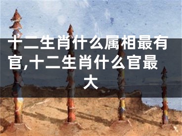 十二生肖什么属相最有官,十二生肖什么官最大