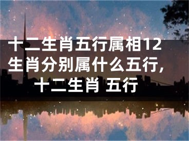十二生肖五行属相12生肖分别属什么五行,十二生肖 五行