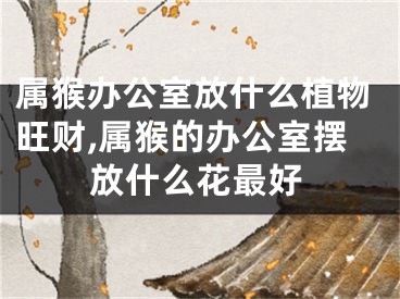 属猴办公室放什么植物旺财,属猴的办公室摆放什么花最好