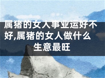属猪的女人事业运好不好,属猪的女人做什么生意最旺