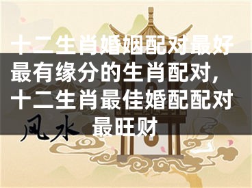 十二生肖婚姻配对最好最有缘分的生肖配对,十二生肖最佳婚配配对最旺财