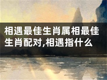 相遇最佳生肖属相最佳生肖配对,相遇指什么