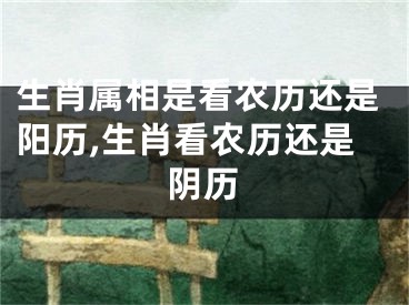 生肖属相是看农历还是阳历,生肖看农历还是阴历