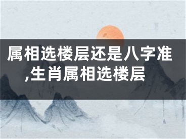 属相选楼层还是八字准,生肖属相选楼层