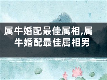 属牛婚配最佳属相,属牛婚配最佳属相男