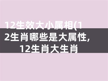 12生效大小属相(12生肖哪些是大属性,12生肖大生肖