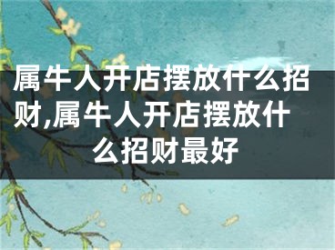 属牛人开店摆放什么招财,属牛人开店摆放什么招财最好