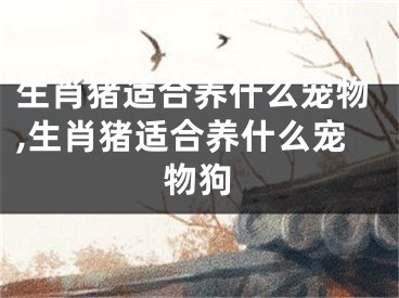 生肖猪适合养什么宠物,生肖猪适合养什么宠物狗