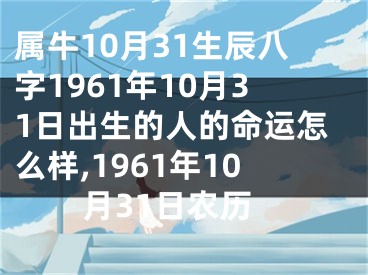 属牛10月31生辰八字1961年10月31日出生的人的命运怎么样,1961年10月31日农历