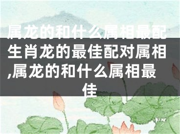 属龙的和什么属相最配生肖龙的最佳配对属相,属龙的和什么属相最佳