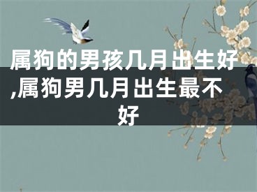属狗的男孩几月出生好,属狗男几月出生最不好