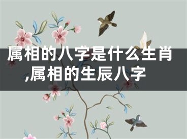 属相的八字是什么生肖,属相的生辰八字