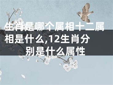生肖是哪个属相十二属相是什么,12生肖分别是什么属性