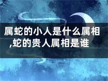 属蛇的小人是什么属相,蛇的贵人属相是谁