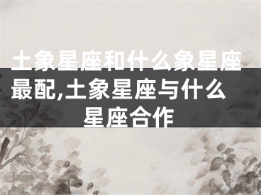 土象星座和什么象星座最配,土象星座与什么星座合作