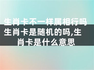 生肖卡不一样属相行吗生肖卡是随机的吗,生肖卡是什么意思