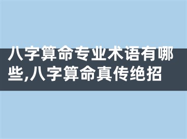 八字算命专业术语有哪些,八字算命真传绝招