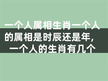 一个人属相生肖一个人的属相是时辰还是年,一个人的生肖有几个