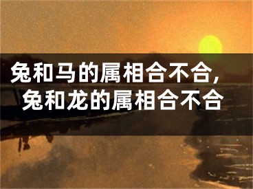 兔和马的属相合不合,兔和龙的属相合不合