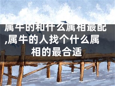属牛的和什么属相最配,属牛的人找个什么属相的最合适