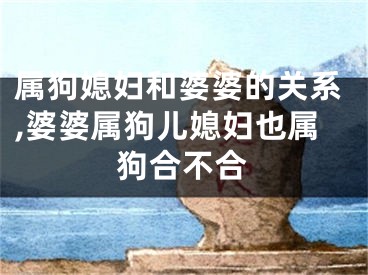 属狗媳妇和婆婆的关系,婆婆属狗儿媳妇也属狗合不合