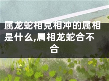 属龙蛇相克相冲的属相是什么,属相龙蛇合不合