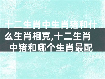 十二生肖中生肖猪和什么生肖相克,十二生肖中猪和哪个生肖最配